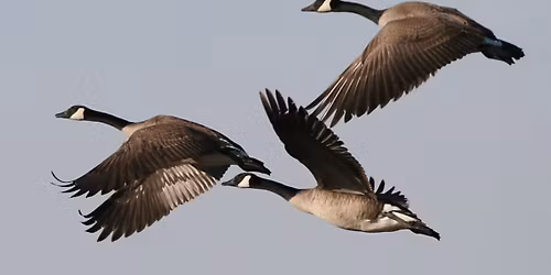 Post-Thanksgiving OptOutside walk