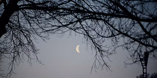 December: New Moon Reiki Release