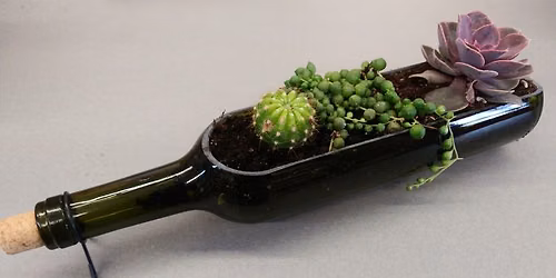 Succulent Planter Class