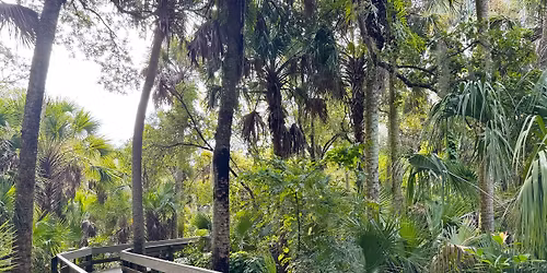 Guided Walk at Erna Nixon park