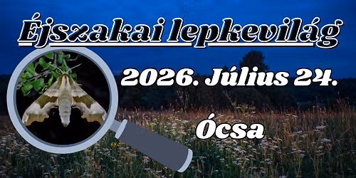 \u00c9jszakai lepkevil\u00e1g