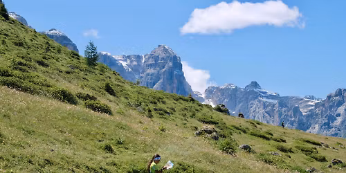 5 Days 2026 - Val di Sole