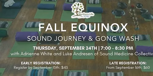 Sound Journey & Gong Wash