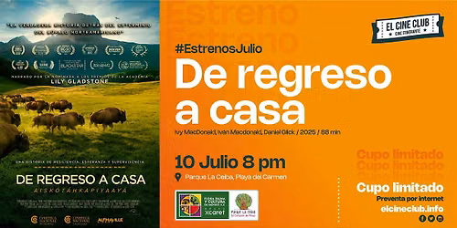 De regreso a casa