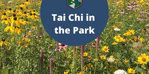 Tai Chi and QiGong in the Park