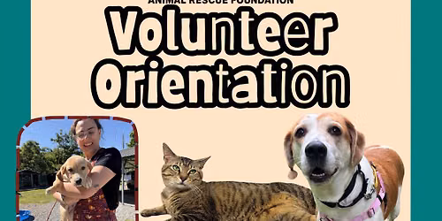 Sarge\u2019s Volunteer Orientation