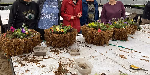 Sue's Moss Basket Classes