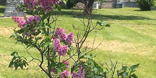 Day of Psychic card Readings