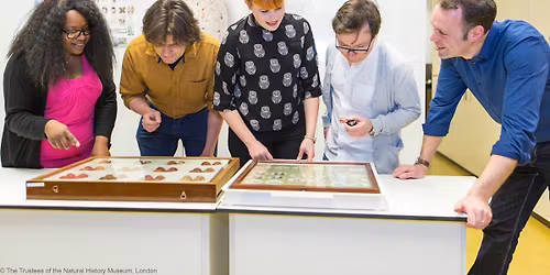 Behind the Scenes Tour: Voyages of Discovery