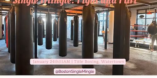 Single Mingle: Fight and Flirt