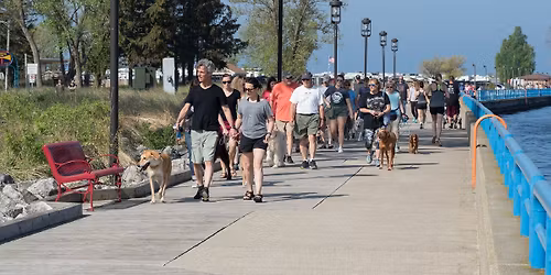 Pack Walk with Bob Crough, Trainer by Must Love Dogs!