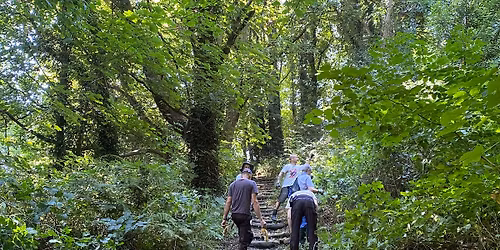 Volunteer morning - NOVEMBER