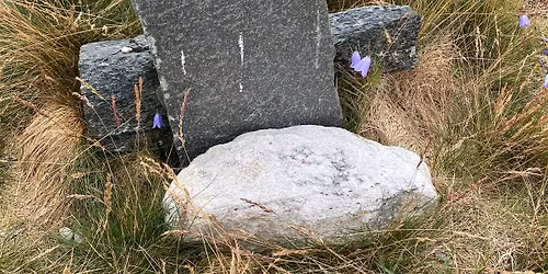 Vandring p\u00e5 Dovrefjell