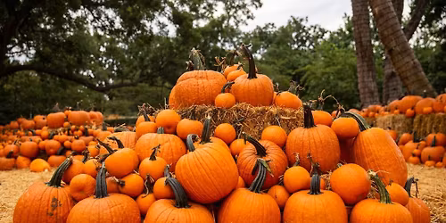 TRIP PUMPKIN