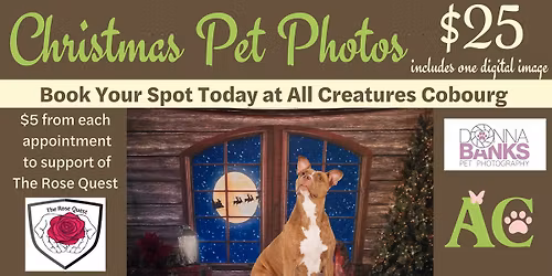 Christmas Pet Photos