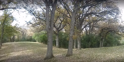 Springing Into TutHill