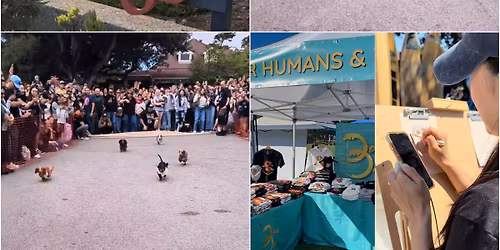 Wiener Races at Lucy\u2019s on Lighthouse