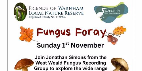 FUNGUS FORAY