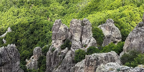 \u0421\u043a\u0430\u043b\u043d\u0438\u0442\u0435 \u043a\u043e\u043c\u043f\u043b\u0435\u043a\u0441\u0438 \u0421\u0430\u0440\u044a\u0442\u0430\u0448 \u043a\u0430\u044f\u043b\u0438 \u0438 \u041f\u0430\u0440\u043c\u0430\u043a\u043b\u044a \u043a\u0430\u044f \u0432 \u0420\u043e\u0434\u043e\u043f\u0438\u0442\u0435