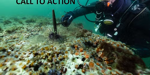 Fish and Game "Committee of the Whole"