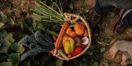 Saturday full-service farm stand