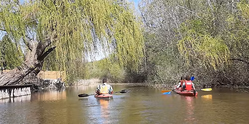 Tavaszi Kezd\u0151 Kajak \u00edzel\u00edt\u0151