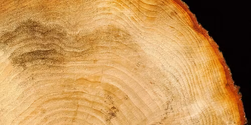 A Hymn to Old Age - MUSIC, POETRY, PLAYBACK THEATRE - Newcastle