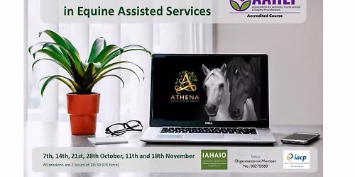 ONLINE Foundation Certificate in Equine Assisted Services