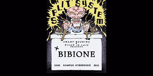SPLIT SYSTEM + BIBIONE \/ KAMPUS HYBERNSK\u00c1