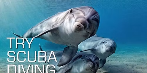 SSI Try Scuba
