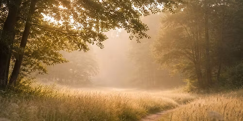 Bewust Leven \u2013 De Basis | Terug naar Jezelf