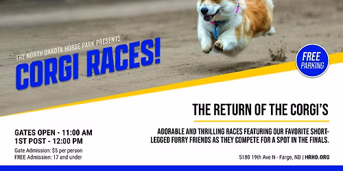 Corgi Races