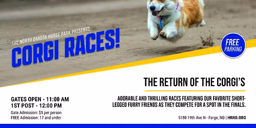 Corgi Races