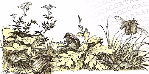 BIO-konferansen 2025: ARTENES BIBLIOTEK