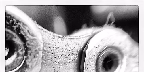 Absolute Bikes Workshop: Maintenance Basics