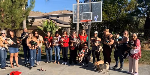 Pug Cuddles with Seniors 