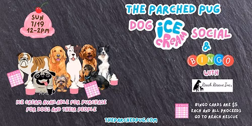 Dog Ice Cream Social and Bingo with Reach Rescue