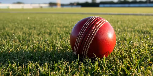 G\u0175yl Griced Pontypridd | Pontypridd Cricket Festival