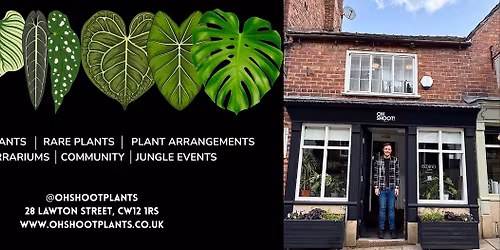 Build a Christmas Moss Jungle Terrarium in the Jungle! Terrarium Building Workshop