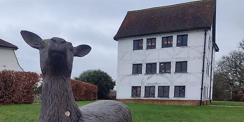 The Epping Forest Adventure Walk