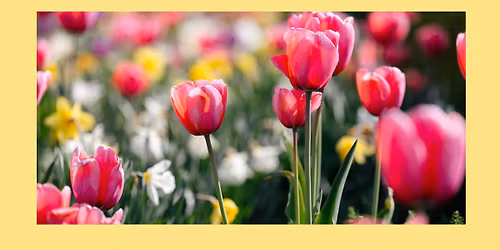 Seniorm\u00e4ssa 23-24 april