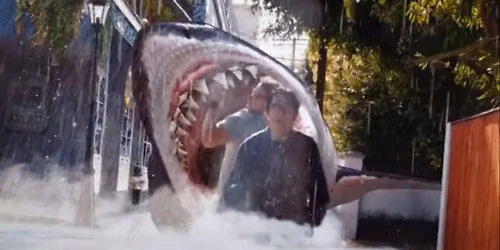 \u201eBIG SHARK\u201d TOMMY'EGO WISEAU! PREMIEROWO W KINIE NCKF! \ud83e\udd88