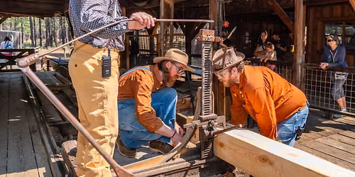 Sawmill Demonstration