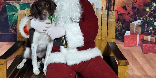 \ud83c\udf85\ud83e\uddb8\u200d\u2642\ufe0f Pictures with Santa & The Grinch! \ud83d\udc3e