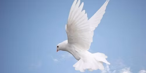 Conversazione con il S\u00e9 Superiore, Lettura dell\u2019Aura e delle Memorie Cellulari