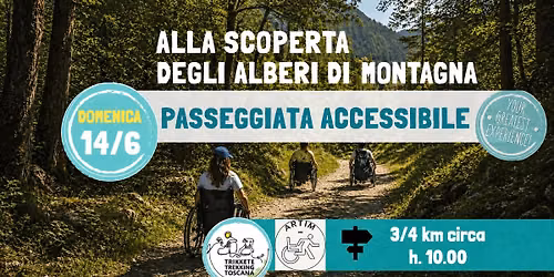 Passeggiata inclusiva accessibile: Alla Scoperta degli Alberi di Montagna!
