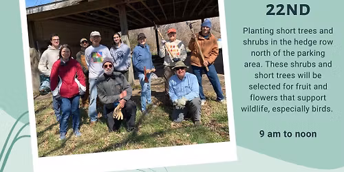 Tree Planting - Little Creve Coeur Ecological Area