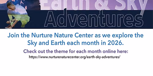 Earth Explorers: Insects & Fireflies