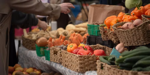 2026 Serrano Summer Friday Vendor Market