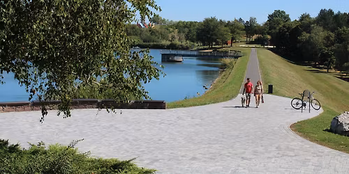 Gy\u00f6kerek \u00e9s hull\u00e1mok \/ Roots and Ripples \u2013 Hagyom\u00e1nyok, amelyek a v\u00edz partj\u00e1n sz\u00fcletnek